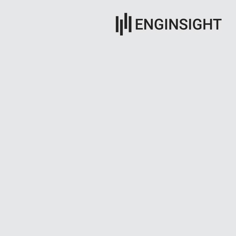 Logo von Enginsight in schwarz auf hellgrauem Hintergrund